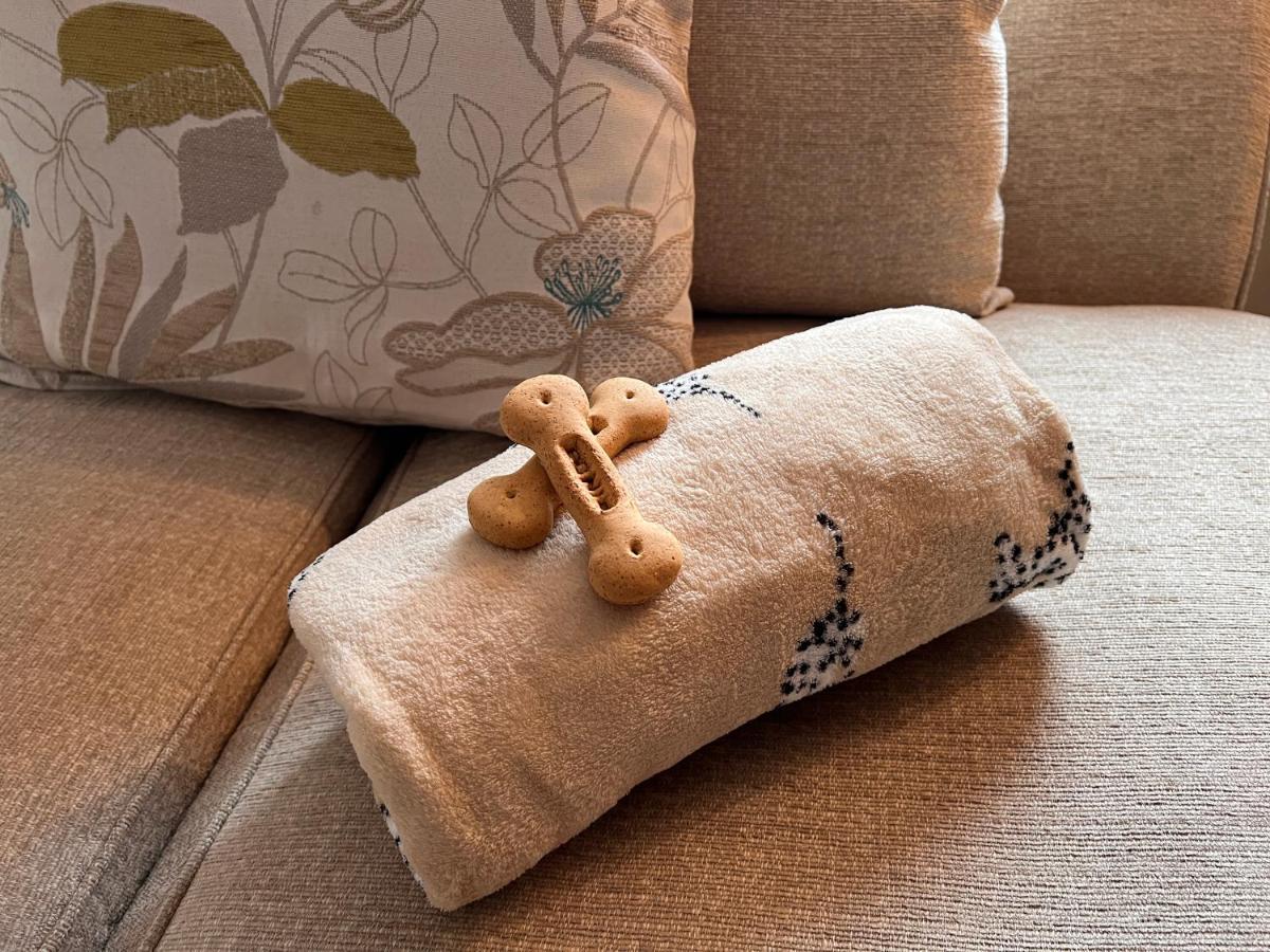 Luxury Guest Dog Friendly